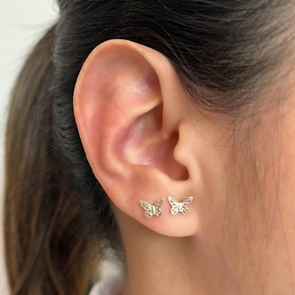 Topo plata mariposa perforada  Amulí